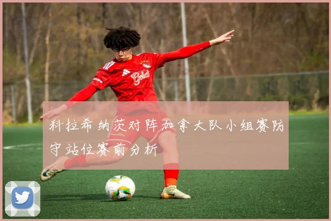 科拉希纳茨对阵加拿大队小组赛防守站位赛前分析