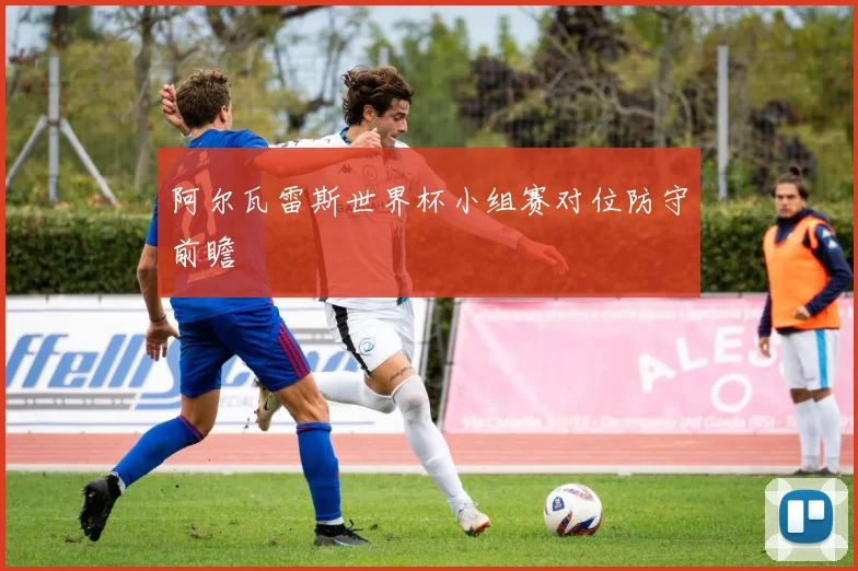 阿尔瓦雷斯世界杯小组赛对位防守前瞻
