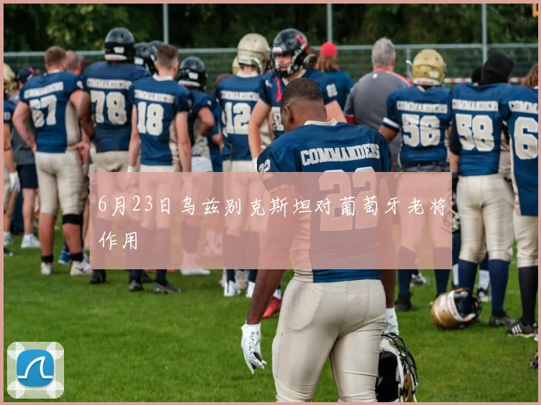 6月23日乌兹别克斯坦对葡萄牙老将作用