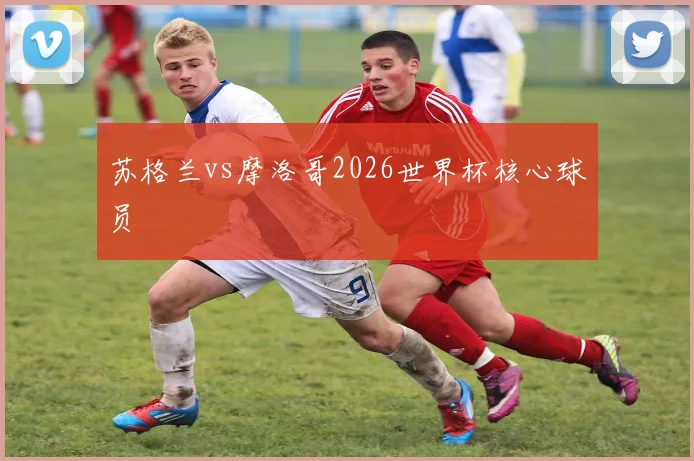 苏格兰vs摩洛哥2026世界杯核心球员