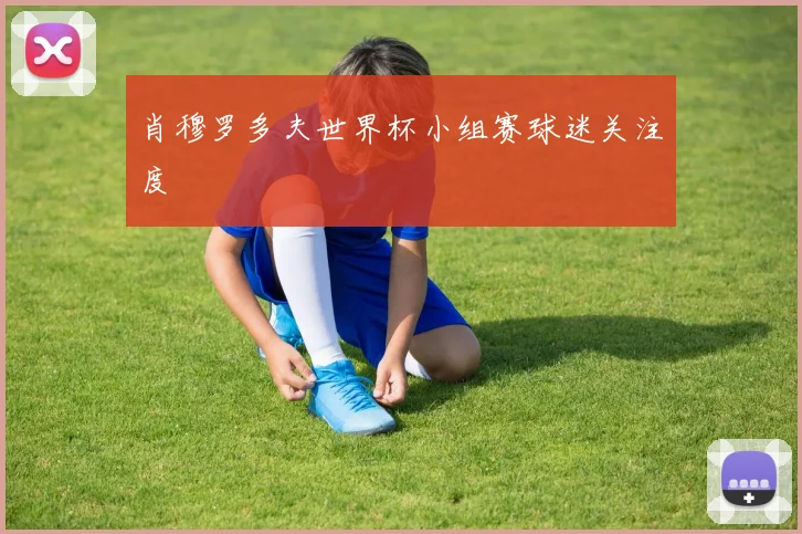 肖穆罗多夫世界杯小组赛球迷关注度
