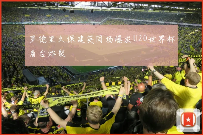 罗德里久保建英同场爆发U20世界杯看台炸裂